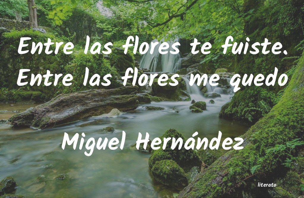 Frases de Miguel Hernández