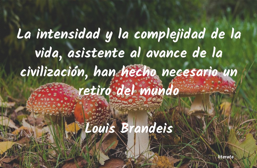 Frases de Louis Brandeis