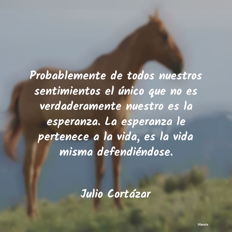 Frases de Julio Cortázar