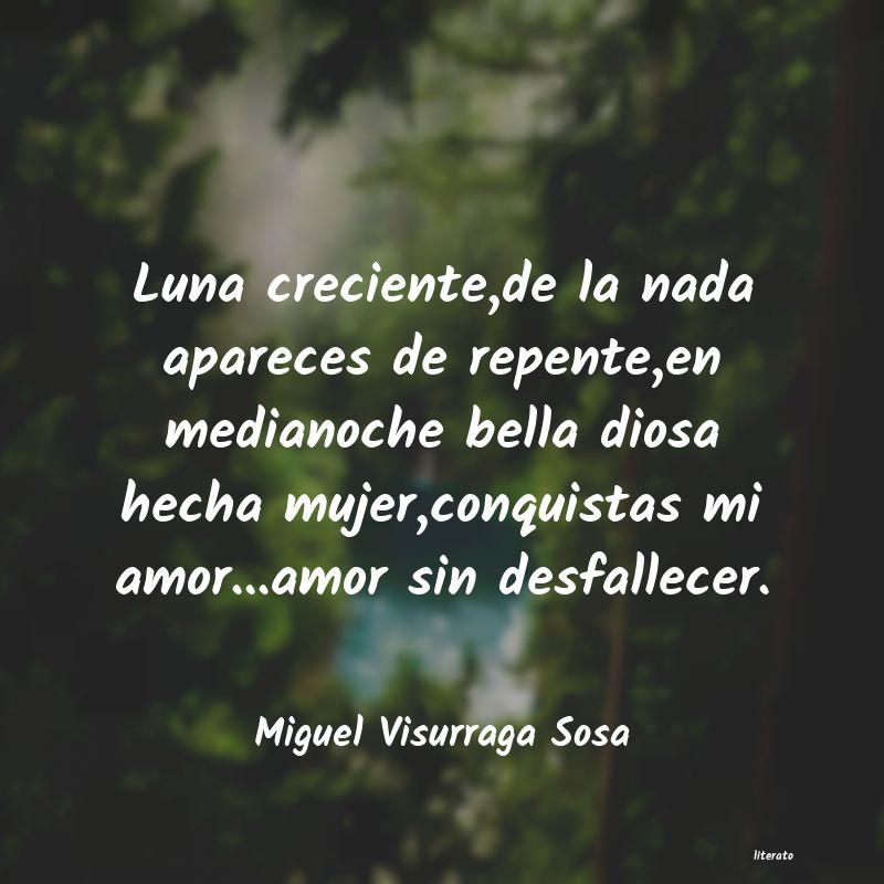 frases de Miguel Visurraga Sosa