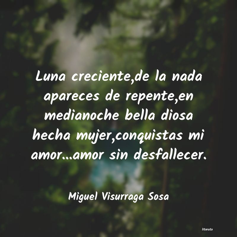 Frases de Miguel Visurraga Sosa