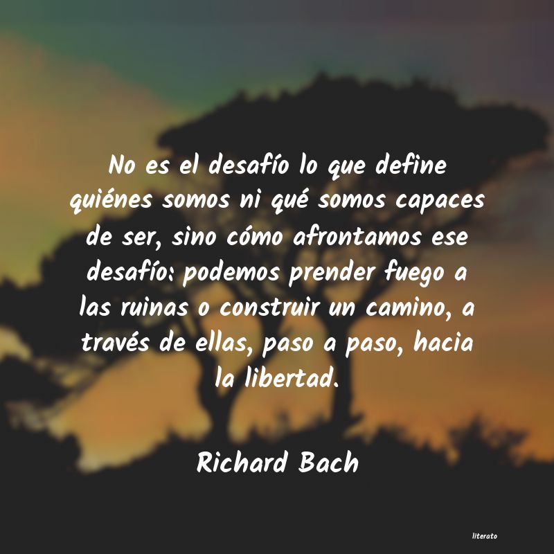 Frases de Richard Bach