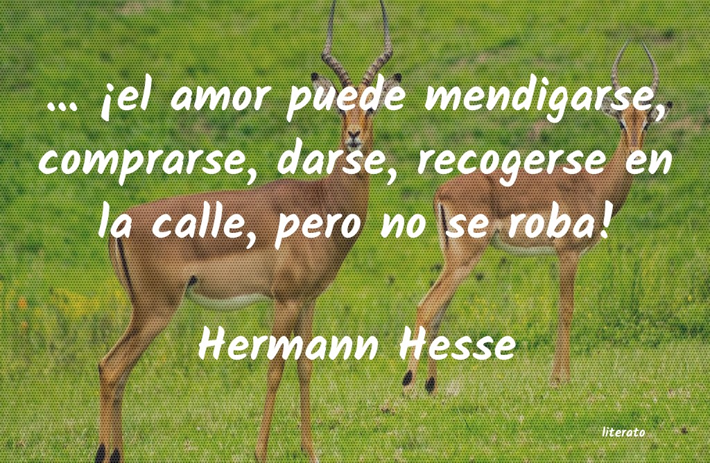 Frases de Hermann Hesse