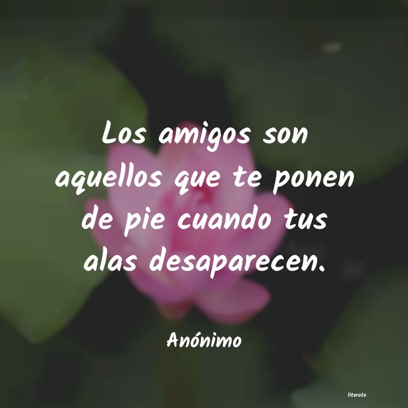 frases