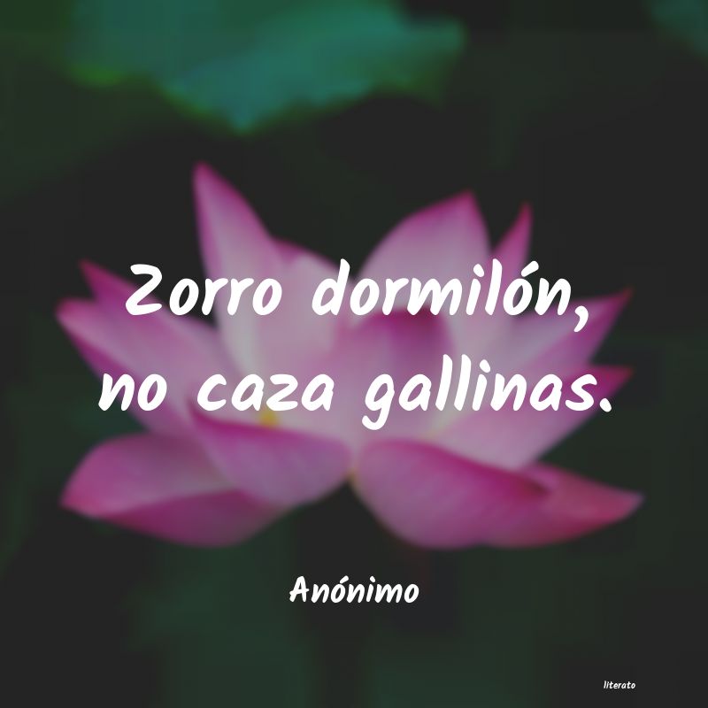 Frases de