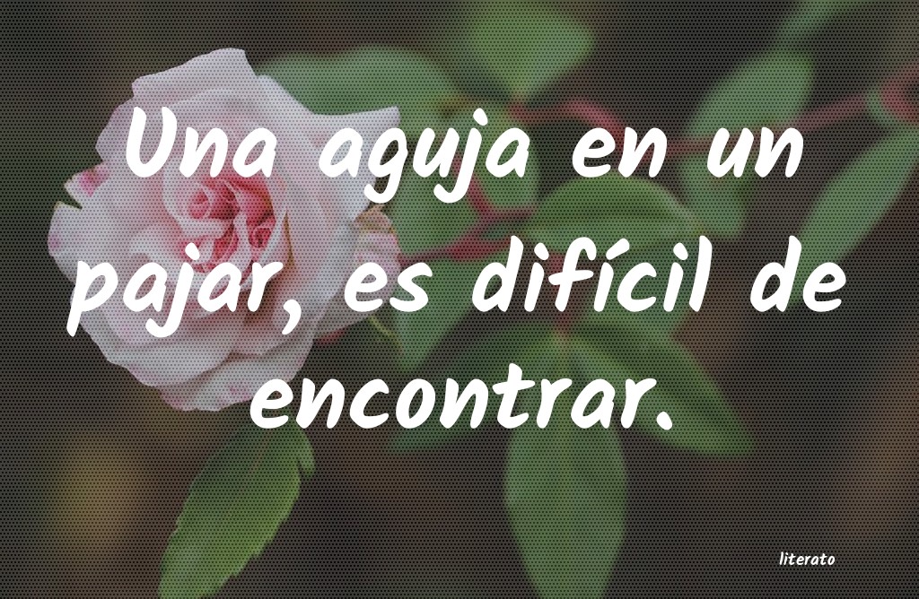 frases
