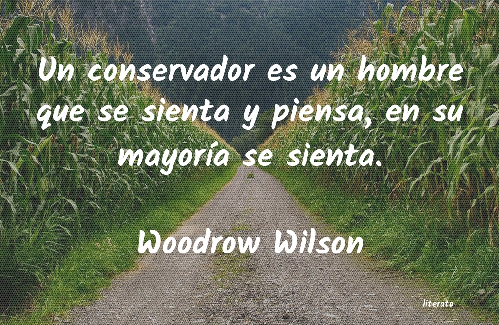 Frases de Woodrow Wilson