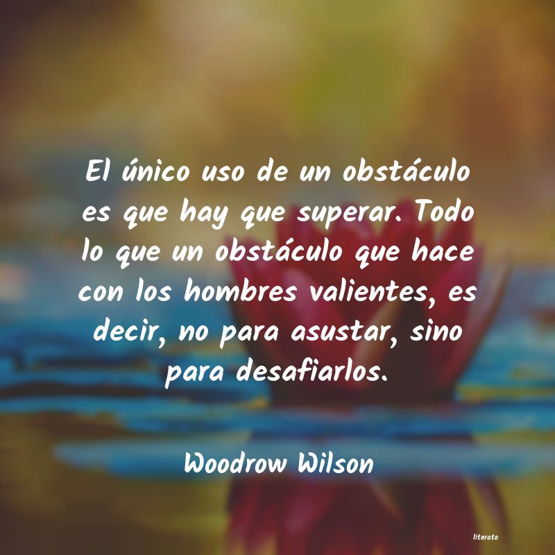 Frases de Woodrow Wilson