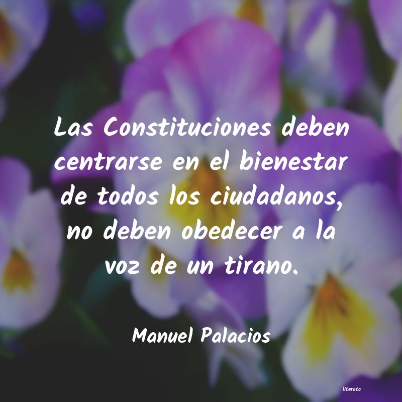 Frases de Manuel Palacios