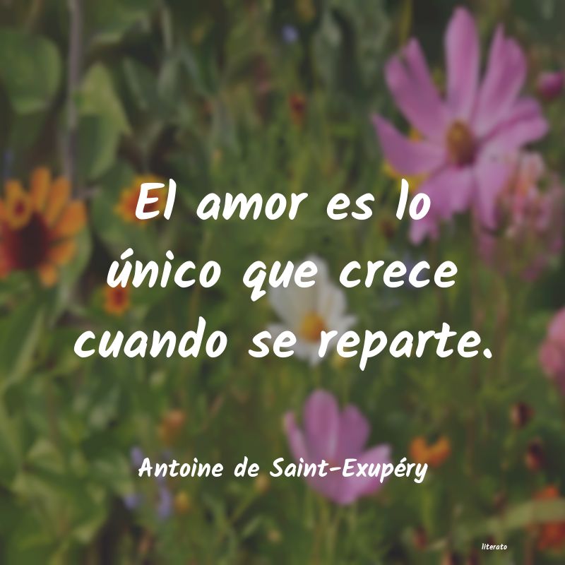 Frases de Antoine de Saint-Exupéry