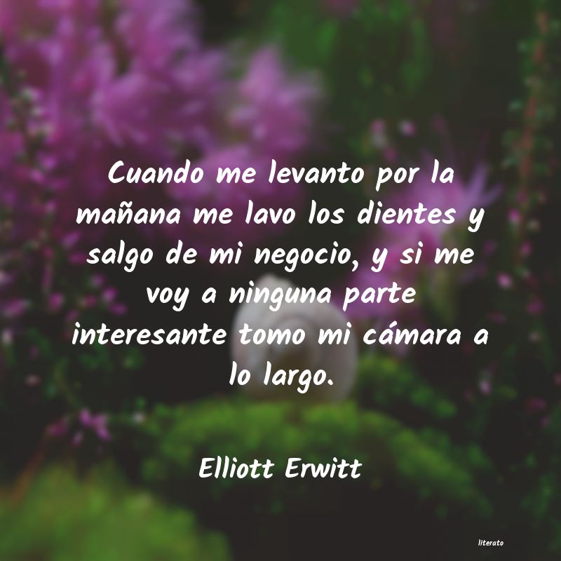 Frases de Elliott Erwitt