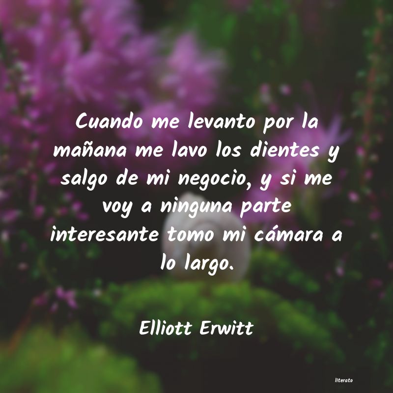 frases de Elliott Erwitt