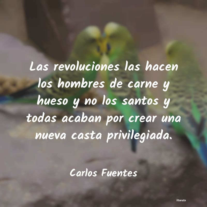 Frases de Carlos Fuentes