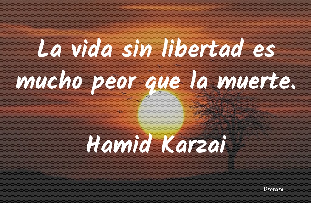 Frases de Hamid Karzai