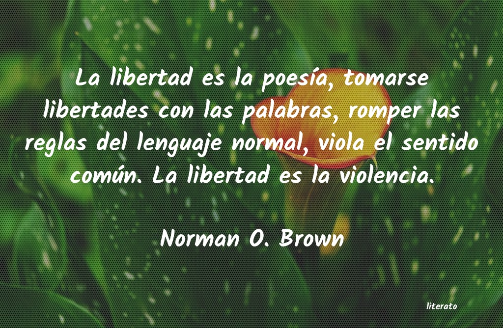 frases de Norman O. Brown