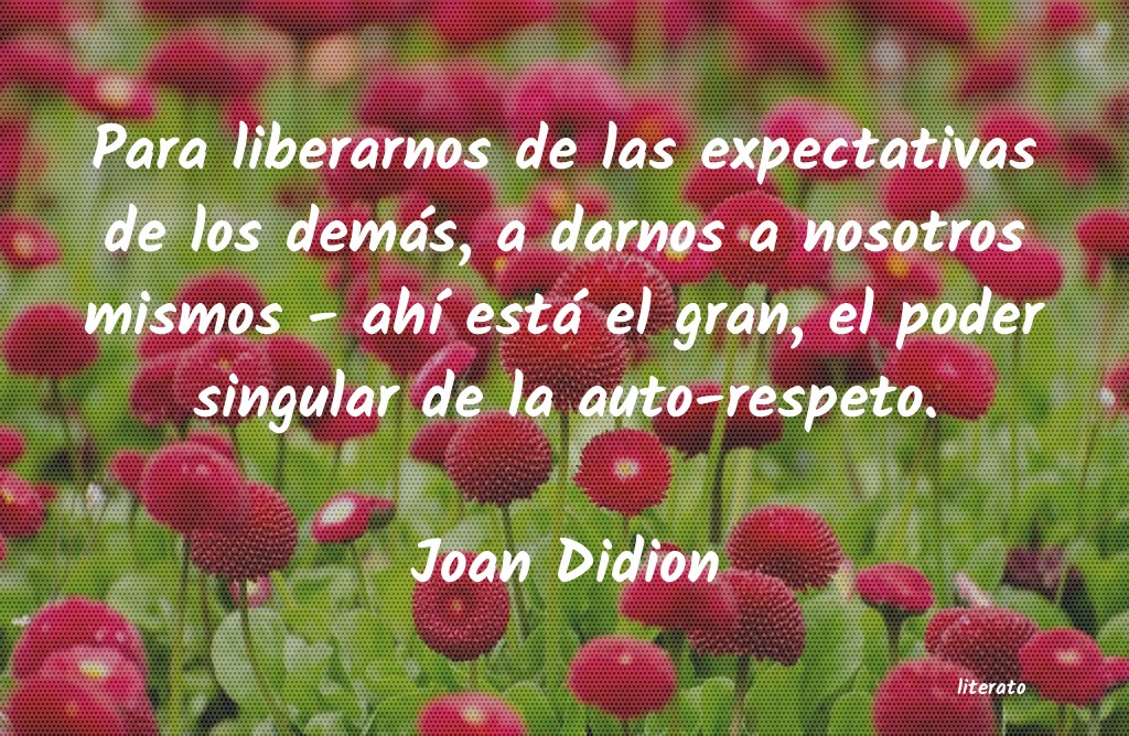 frases de Joan Didion