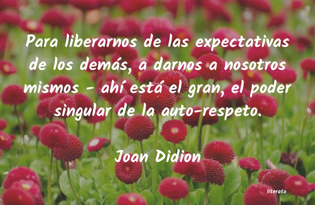 Frases de Joan Didion