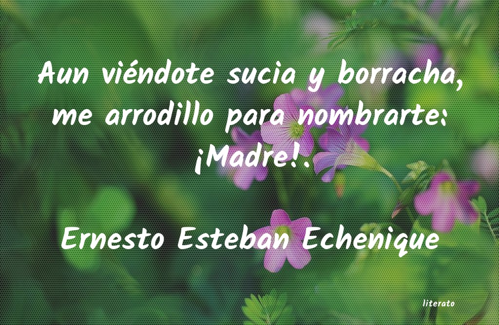 Frases de Ernesto Esteban Echenique