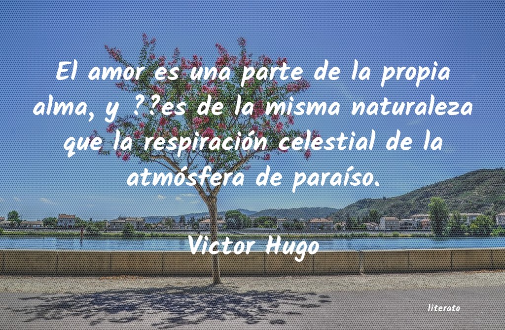 lagrimas con victor hugo