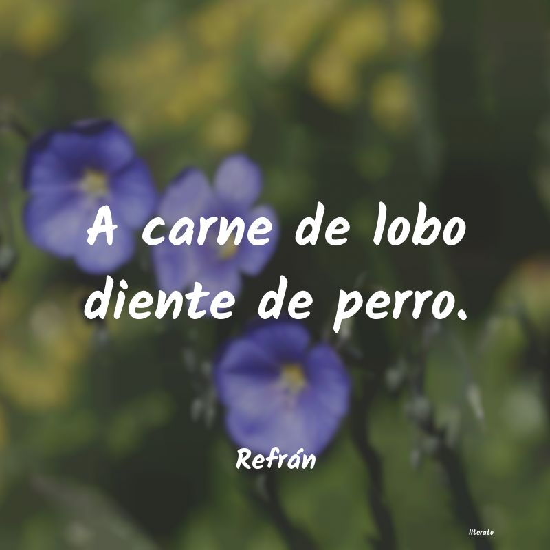 Frases de Refrán