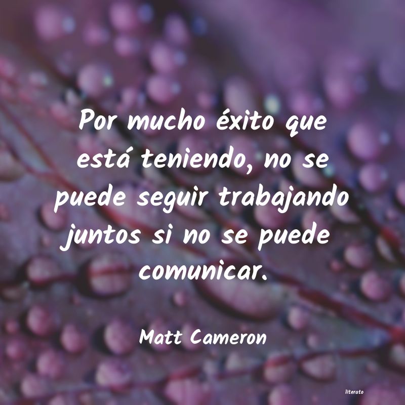 frases de Matt Cameron
