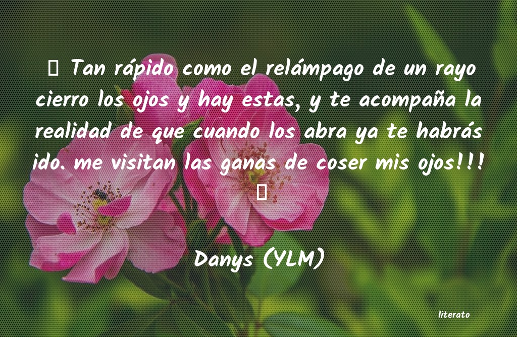 Frases de Danys (YLM)