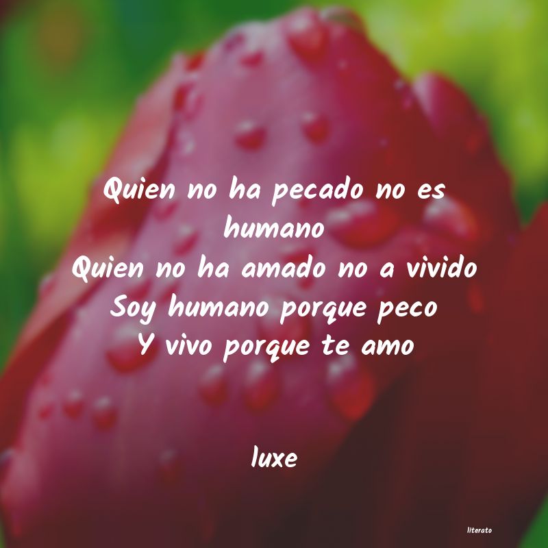 frases de luxe