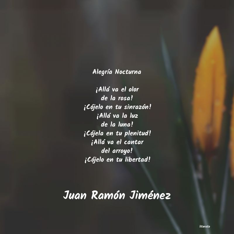 poesias de ramon matias mella