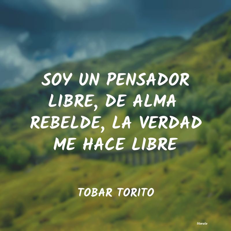 Frases de TOBAR TORITO