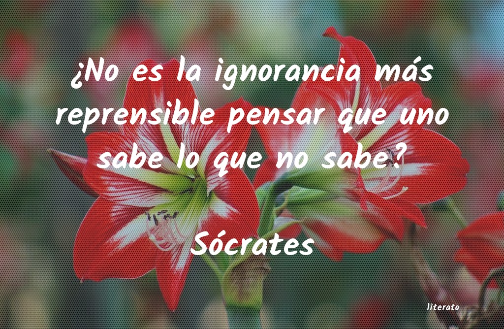 Frases de Sócrates