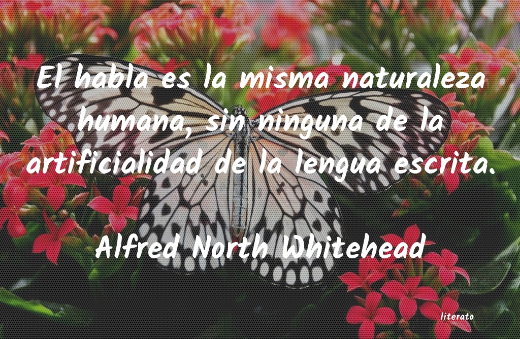 Frases de Alfred North Whitehead