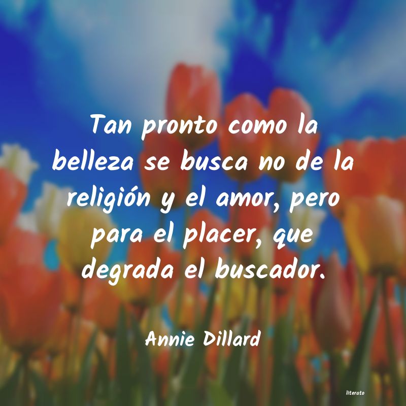 frases de Annie Dillard
