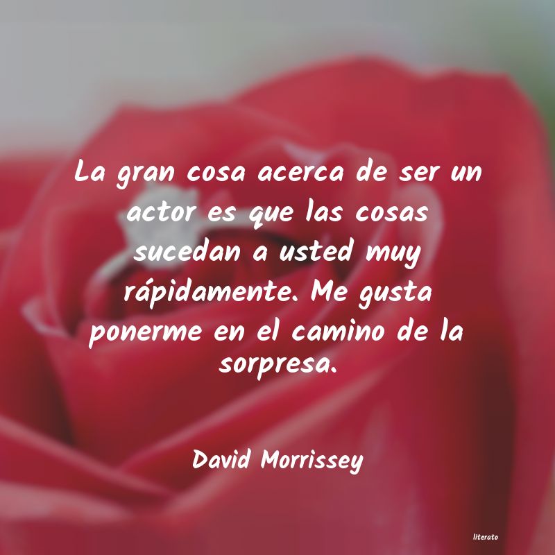 frases de David Morrissey