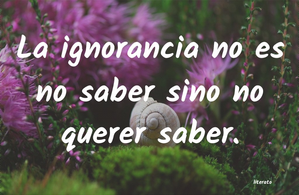 Frases de