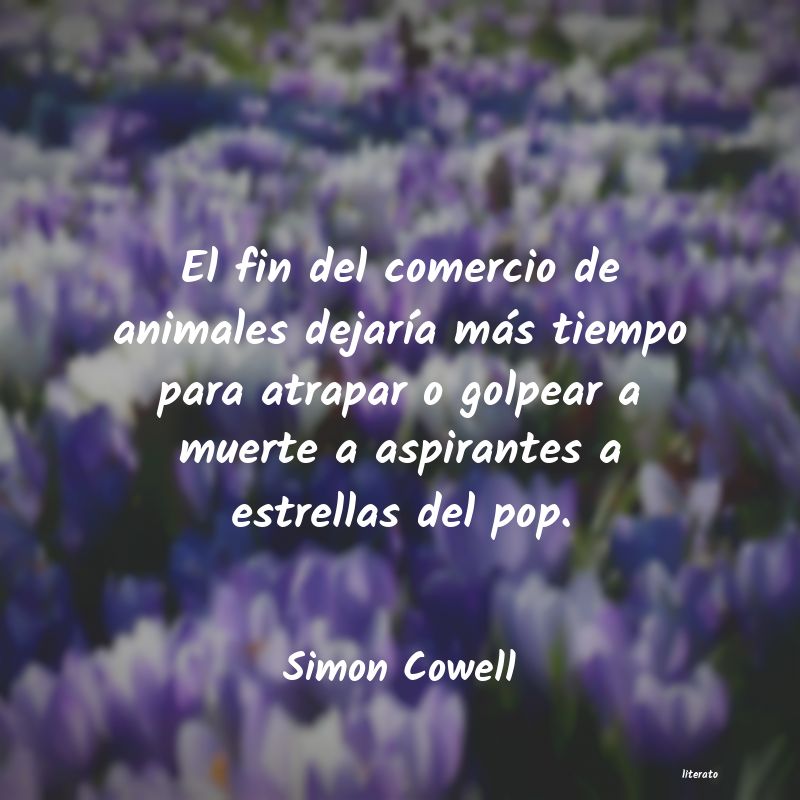 Frases de Simon Cowell