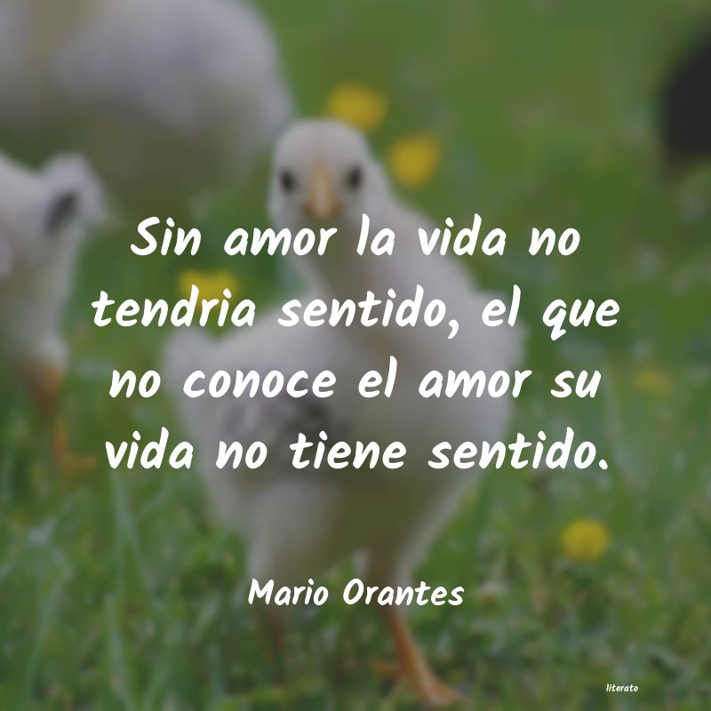 frases de Mario Orantes