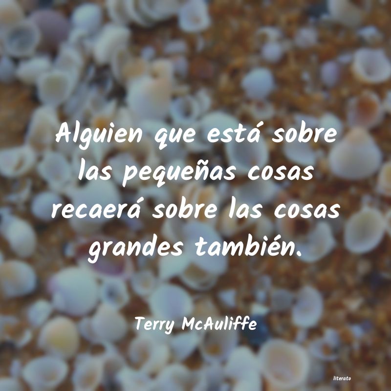frases de Terry McAuliffe