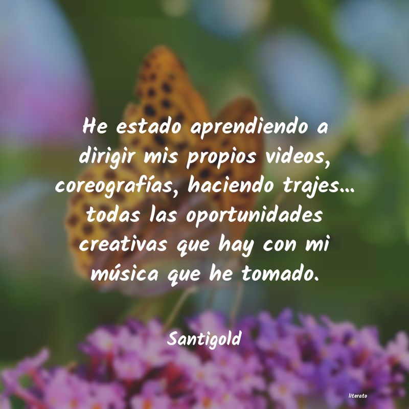 Frases de Santigold