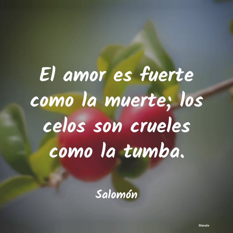 frases de Salomón