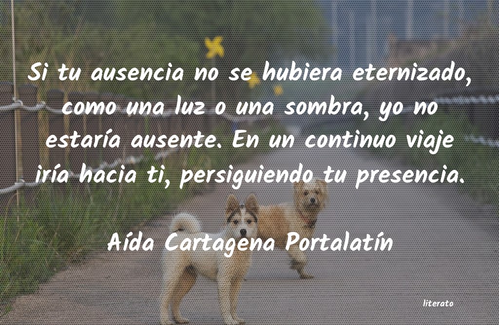 Frases de Aída Cartagena Portalatín