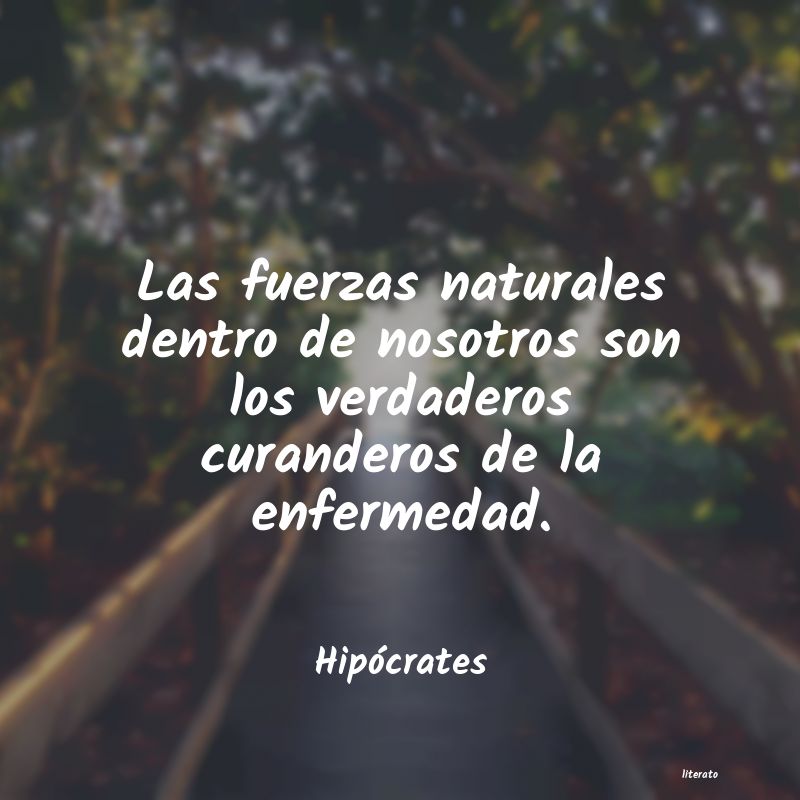 Frases de Hipócrates