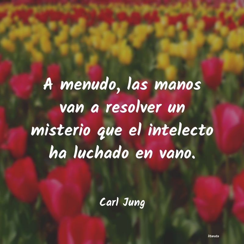 carl jung sentido