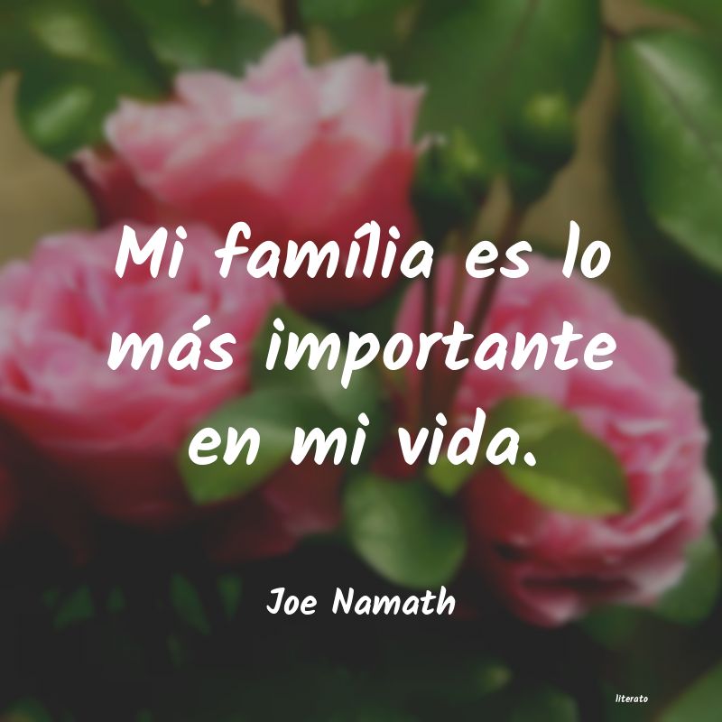 Frases de Joe Namath