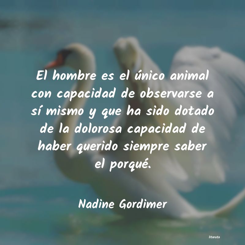 Frases de Nadine Gordimer