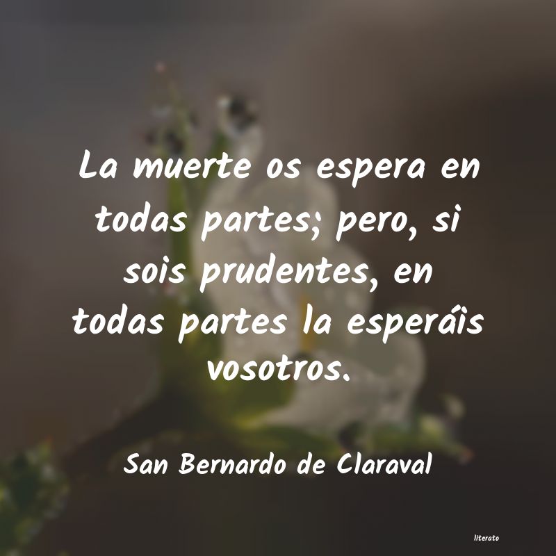 Frases de San Bernardo de Claraval