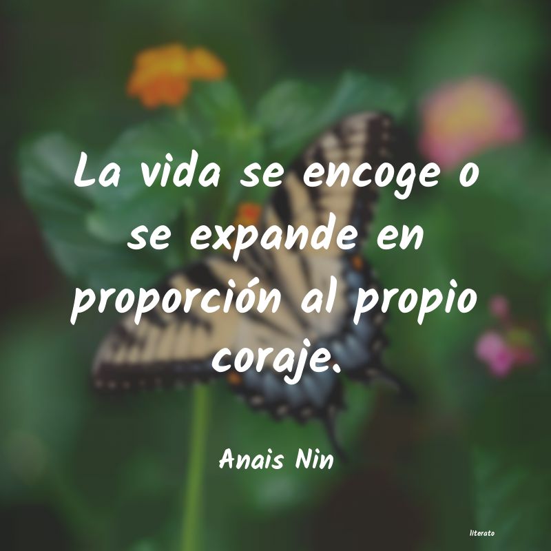 Frases de Anais Nin