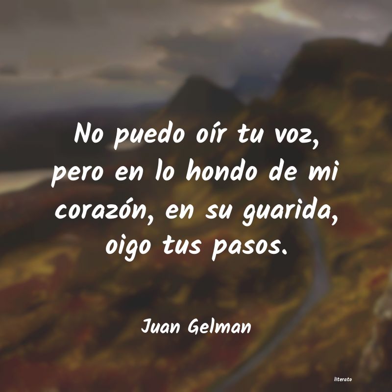 Frases de Juan Gelman