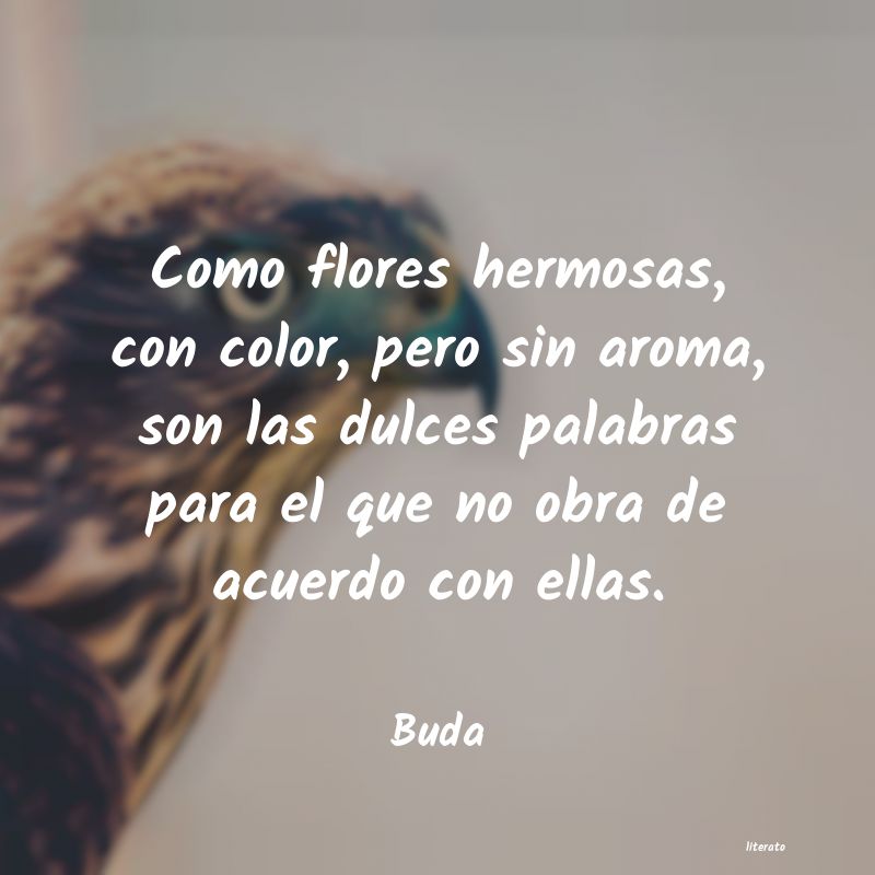 Frases de Buda