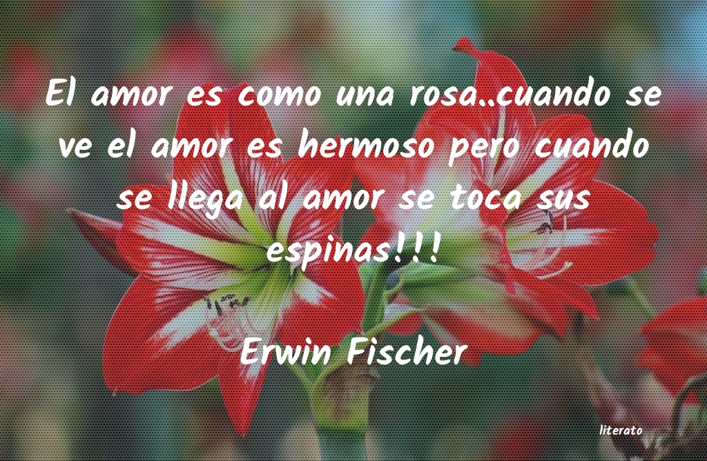 frases de Erwin Fischer