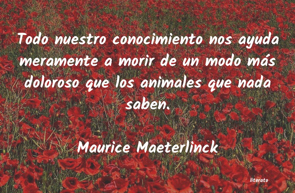 frases de Maurice Maeterlinck